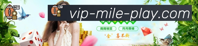 未来规划